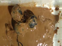 Angry doctor has to clear shit after her patient